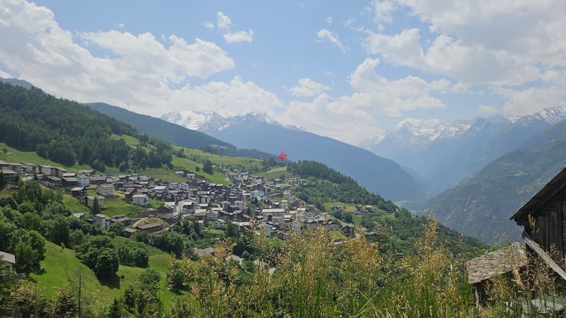 Wohnung mit historischem Charme (3)
