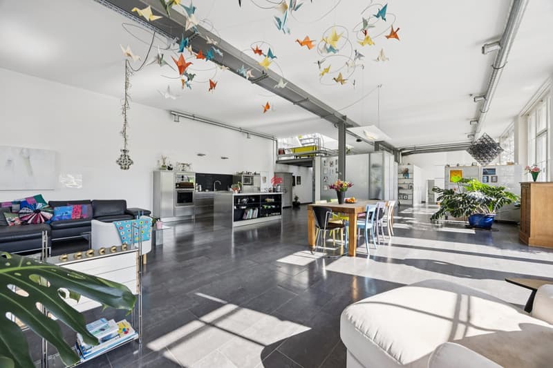 Einmaliges Loft mit Umschwung (2)