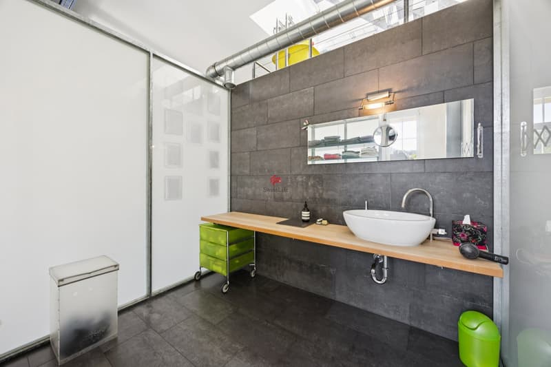 Einmaliges Loft mit Umschwung (9)