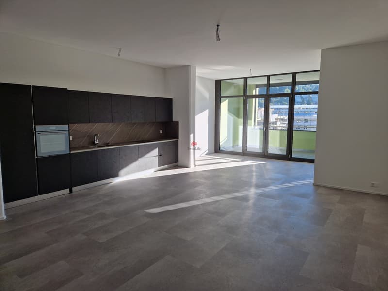 Moderne Loftwohnungen - Erstbezug (1)