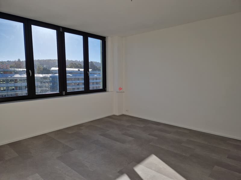 Moderne Loftwohnungen - Erstbezug (5)