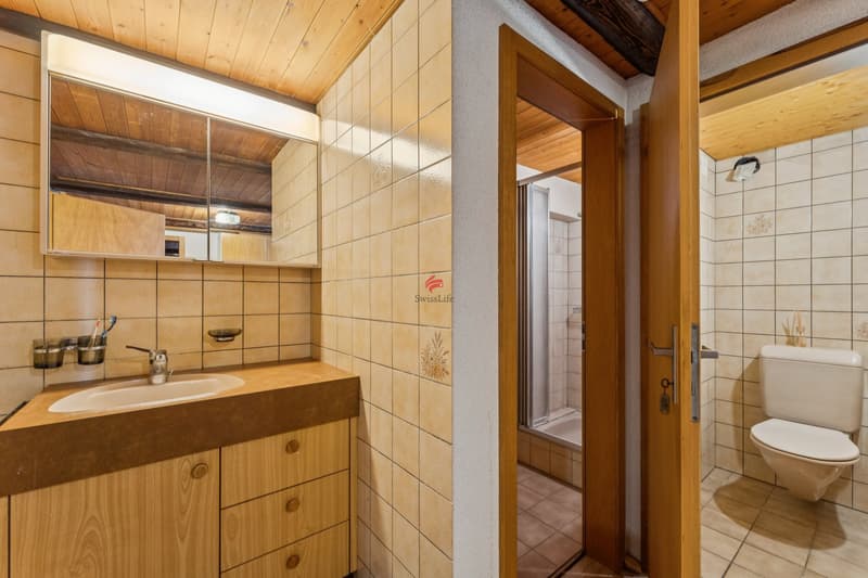 4.5-Zimmer-Wohnung / Nasszonen