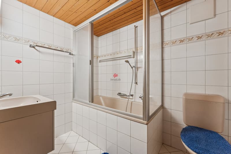3.5-Zimmer-Wohnung / Nasszone