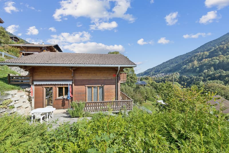 Charme alpin et tranquillité aux portes du village (1)