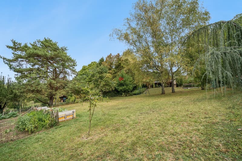 Chalet d'été situé en zone agricole au coeur de la nature (9)