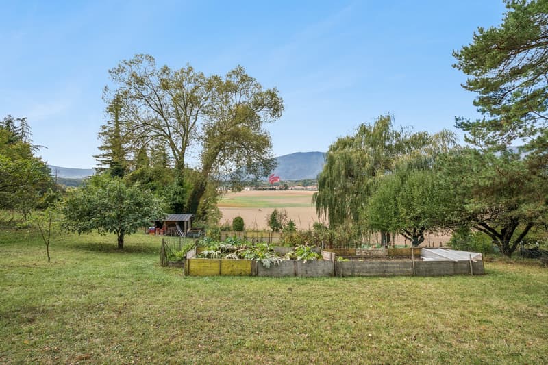 Chalet d'été situé en zone agricole au coeur de la nature (3)