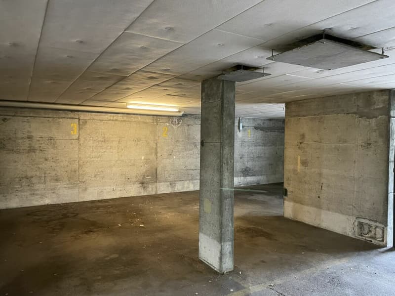 Cerca un posto auto? (4)