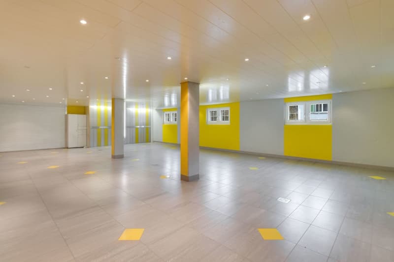 Grosszügige 8.5-Zimmer-Wohnung Watt (9)