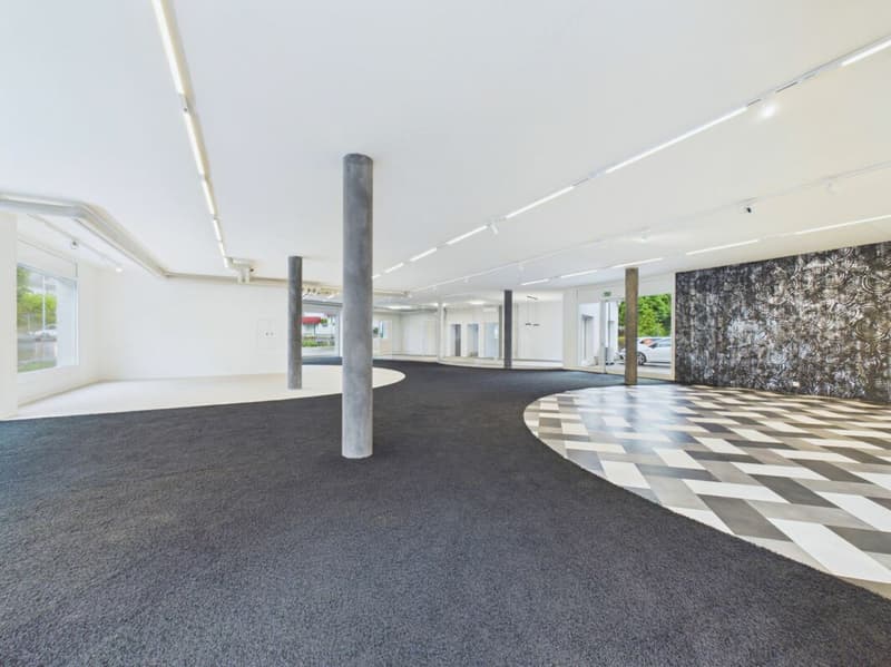 Moderne und vielseitige Gewerbefläche an Top-Lage im Herzen von Brüttisellen (4)