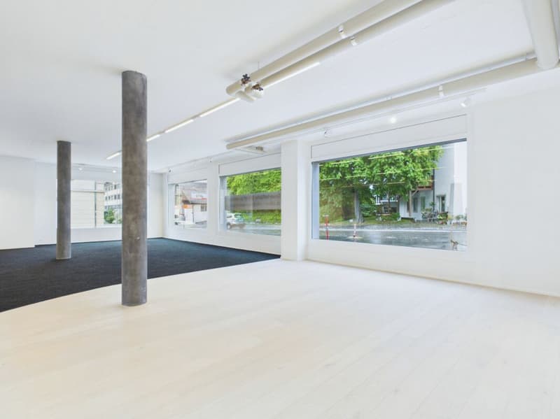 Moderne und vielseitige Gewerbefläche an Top-Lage im Herzen von Brüttisellen (3)