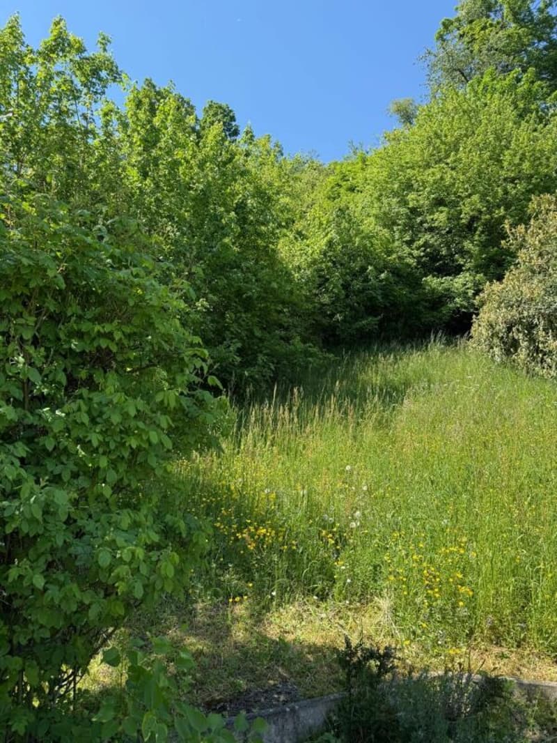Exklusive 4.5-Zimmer-Panoramawohnung mit traumhafter See- und Bergsicht in Biel/Bienne (11)