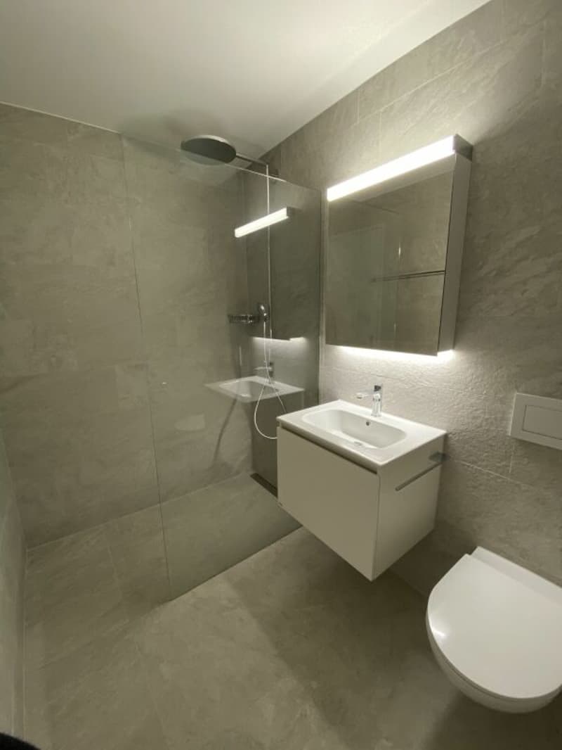 Moderne 2.5-Zimmerwohnung mit hohem Ausbaustandard in Nassenwil (5)