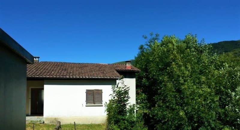 Detached house surrounded by nature (10)