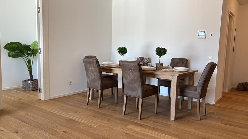 The image shows a modern and stylish dining room with a wooden dining table and six brown leather chairs. The room has a minimalist and clean design, with white walls and hardwood floors. There are two small potted plants on the table, adding a touch of g
