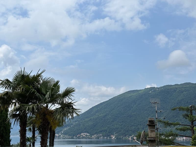 The image shows a scenic view of a lake surrounded by mountains and palm trees. The sky is partly cloudy, creating a picturesque atmosphere. There are some buildings and structures visible in the distance, suggesting a lakeside town or resort area.