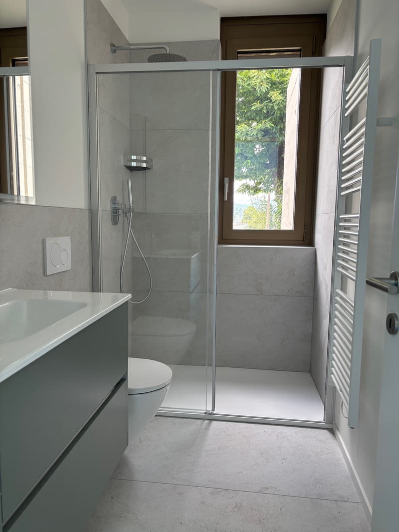 Modern bathroom with gray tile walls, glass shower enclosure, vanity with sink, and a window overlooking greenery outside.