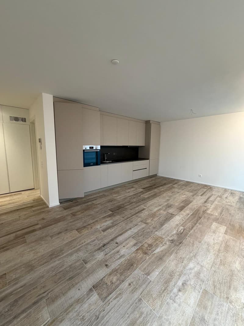 Large room, with wooden floors, tall white ceilings, white walls, fully equipped kitchen, dishwasher, built-in oven and sink