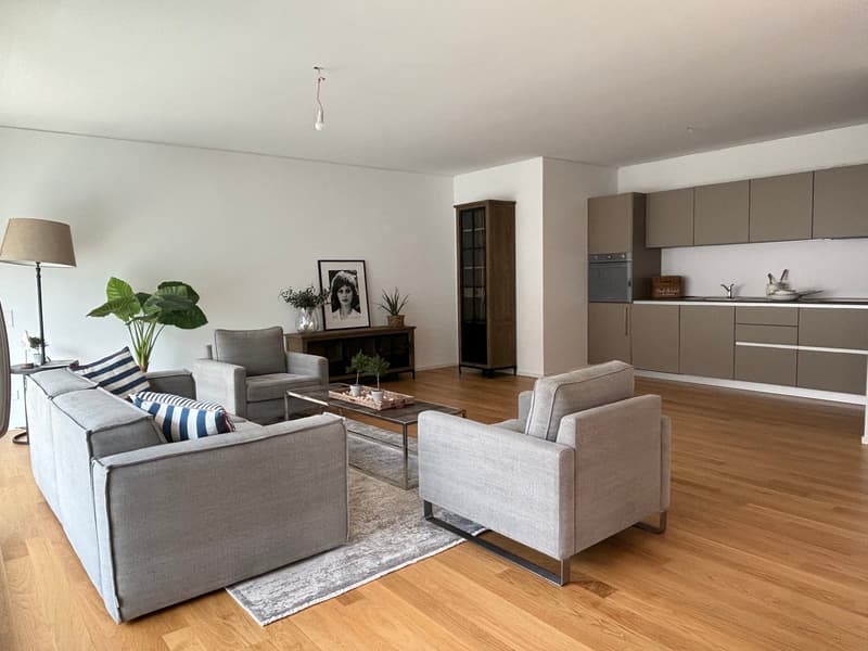 Moderno  appartamento di 3.5 locali a Paradiso (4)