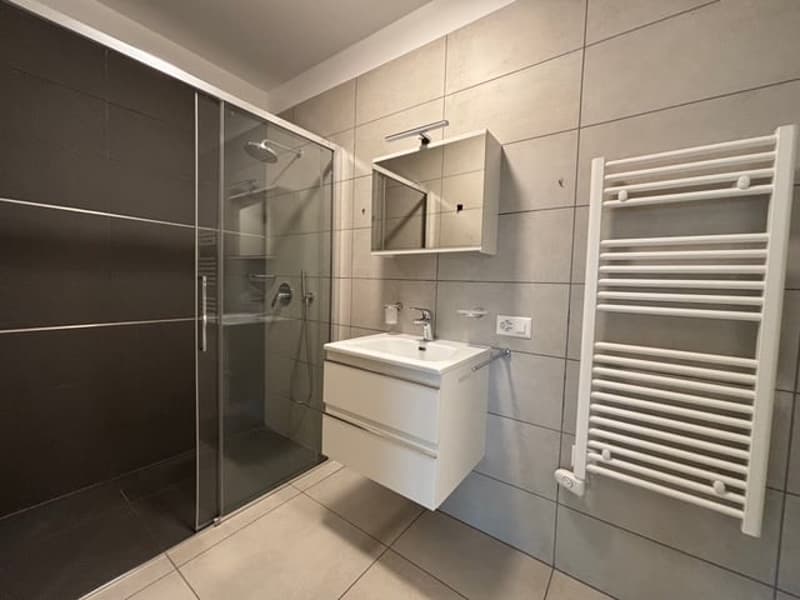 Walk-in shower, white vanity, silver faucet, mirror above vanity, white radiator, tiled floor