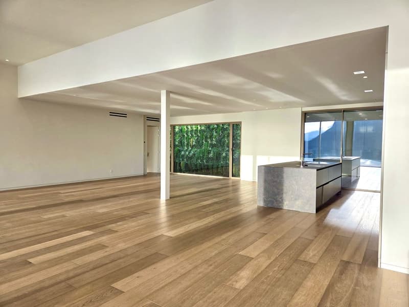 modern open kitchen with a large counter, sliding glass walls, hardwood floors, open to a balcony
