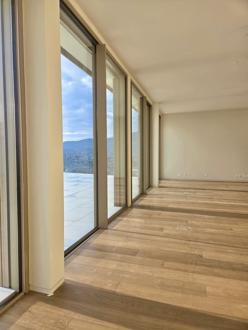 large sliding windows, hardwood floor, wide open to balcony, view of mountains
