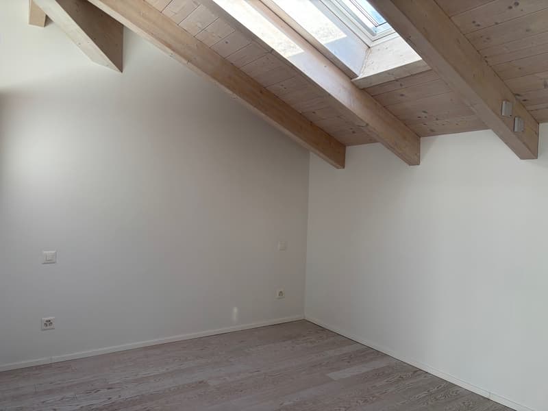 An empty room with white walls, wooden ceiling and floor, and a skylight window.