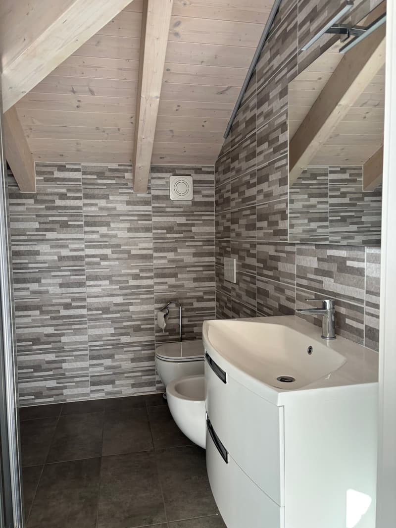 Small bathroom with wooden ceiling, modern tiles, white sink, bidet, toilet, shower glass