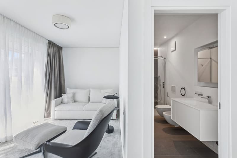 Nel cuore di Paradiso attico di 3.5 locali con terrazzo e roof garden (7)
