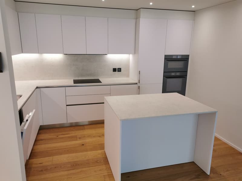 Elegante appartamento di 4.5 locali nella prestigiosa Residenza Parco Lago – Paradiso (3)