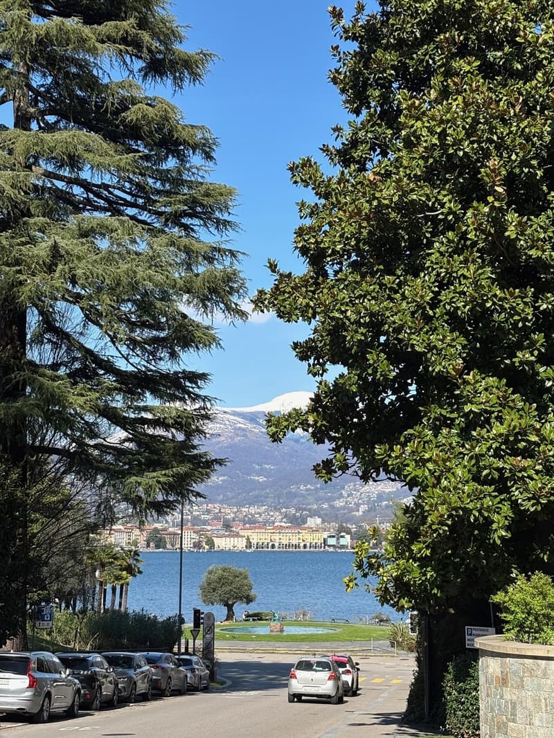Elegante appartamento di 4.5 locali nella prestigiosa Residenza Parco Lago – Paradiso (2)