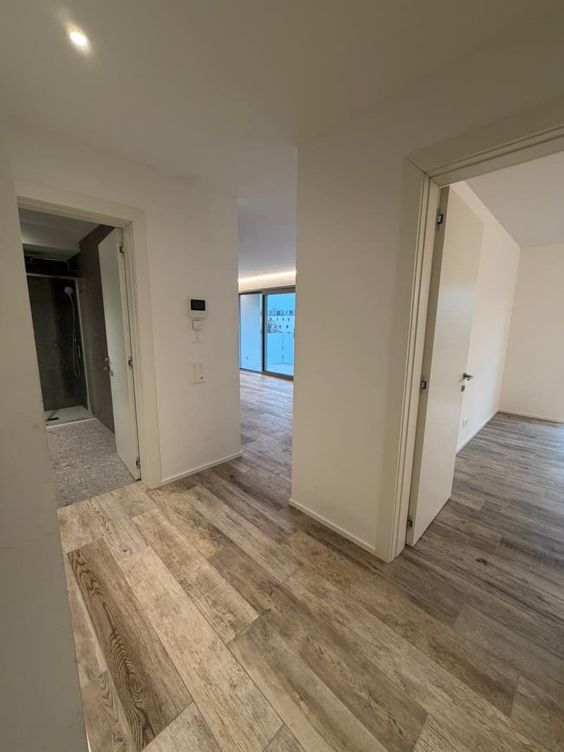 Appartamento di 2.5 locali in moderna residenza (3)