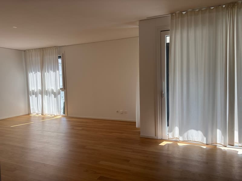Ampio monolocale a Paradiso (2)