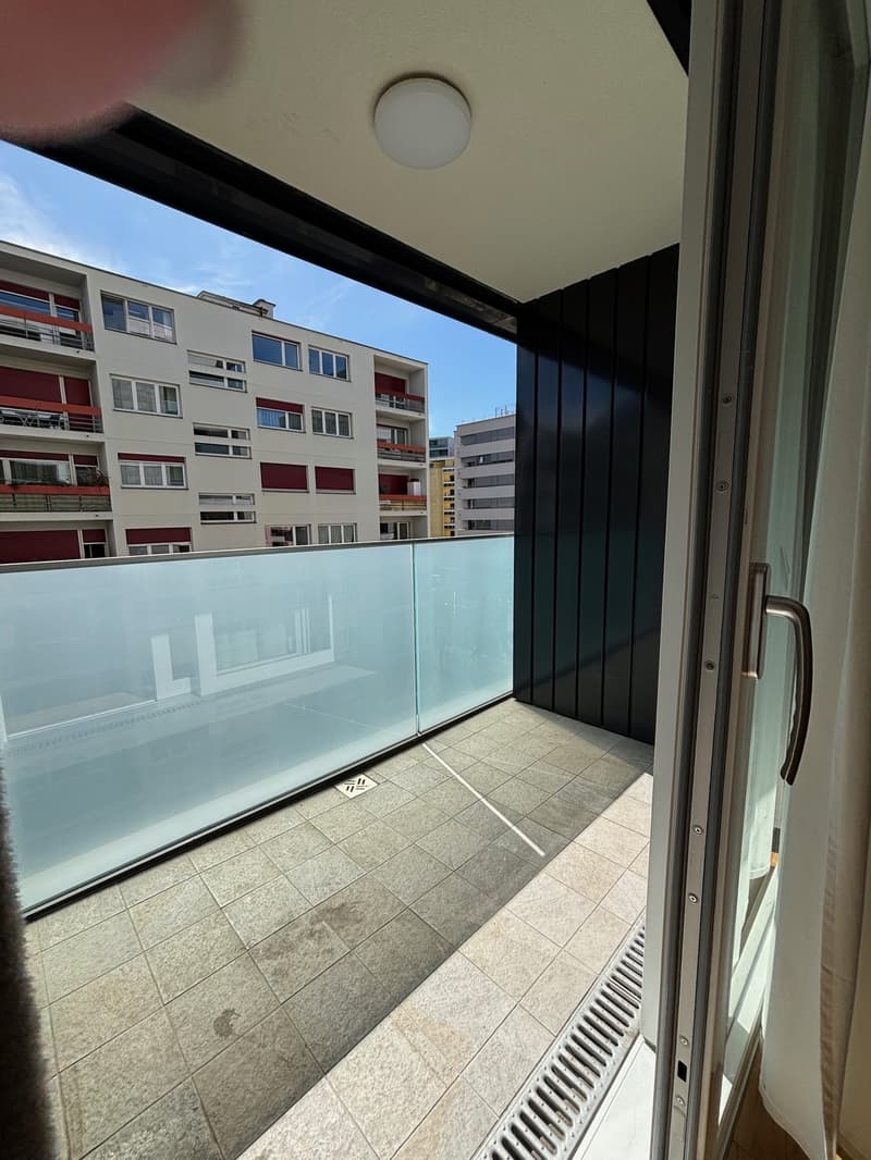 Ampio monolocale a Paradiso (6)