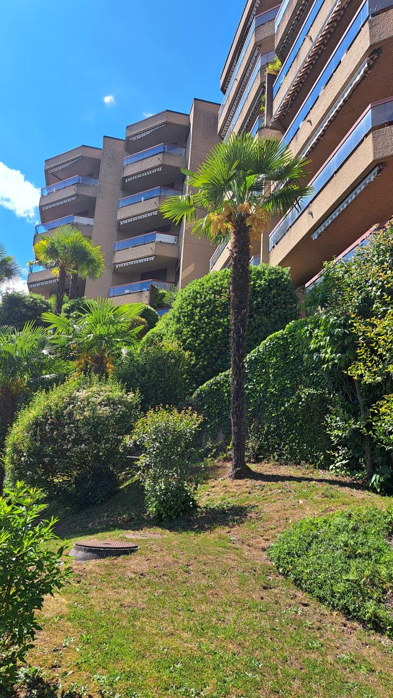 Lugano – Luminoso appartamento di 2.5 locali con terrazzo e vista lago (8)