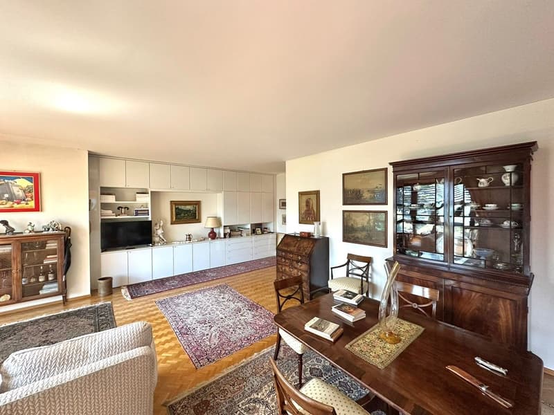 Elegante appartamento con terrazza vista lago (1)