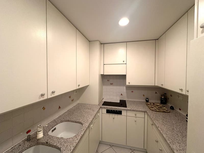 Elegante appartamento con terrazza vista lago (4)