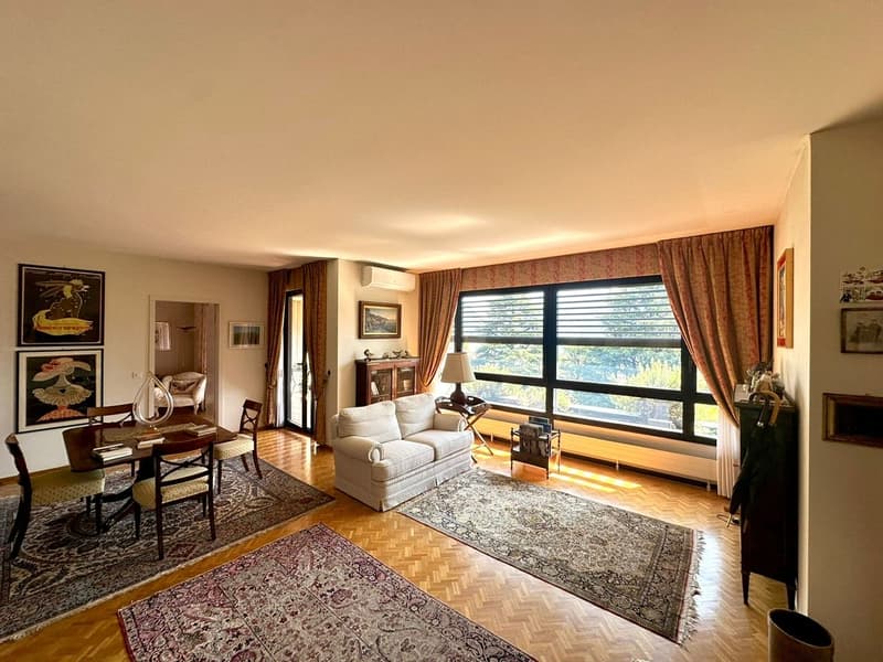 Elegante appartamento con terrazza vista lago (2)