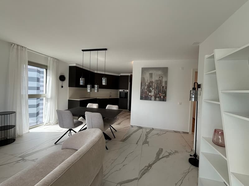 Elegante 3.5 locali a Massagno con roof garden vista lago (2)