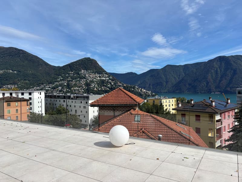Elegante 3.5 locali a Massagno con roof garden vista lago (9)