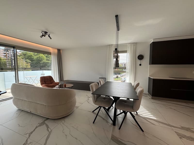 Elegante 3.5 locali a Massagno con roof garden vista lago (1)