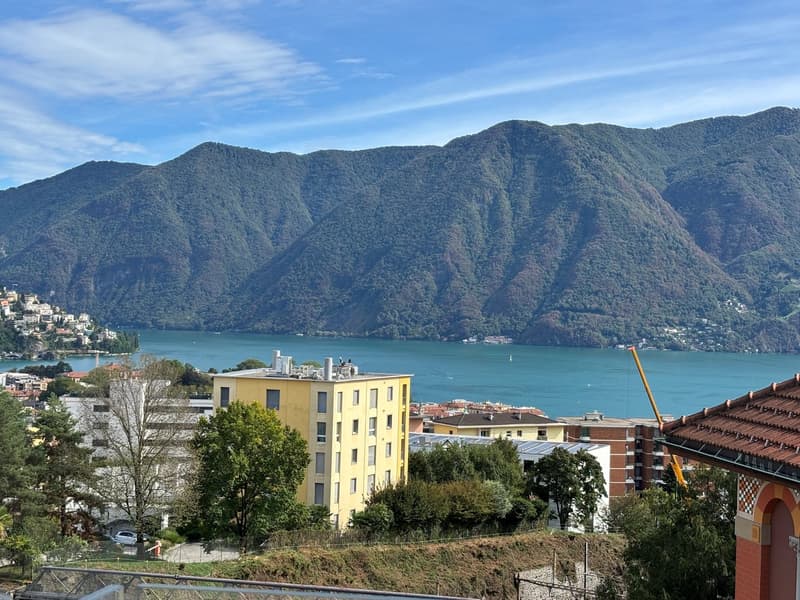 Elegante 3.5 locali a Massagno con roof garden vista lago (10)