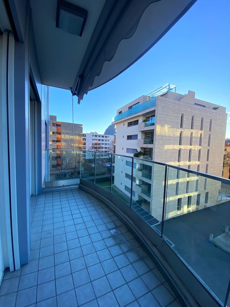 Appartamento arredato a Lugano - disponibilità 7 mesi (11)