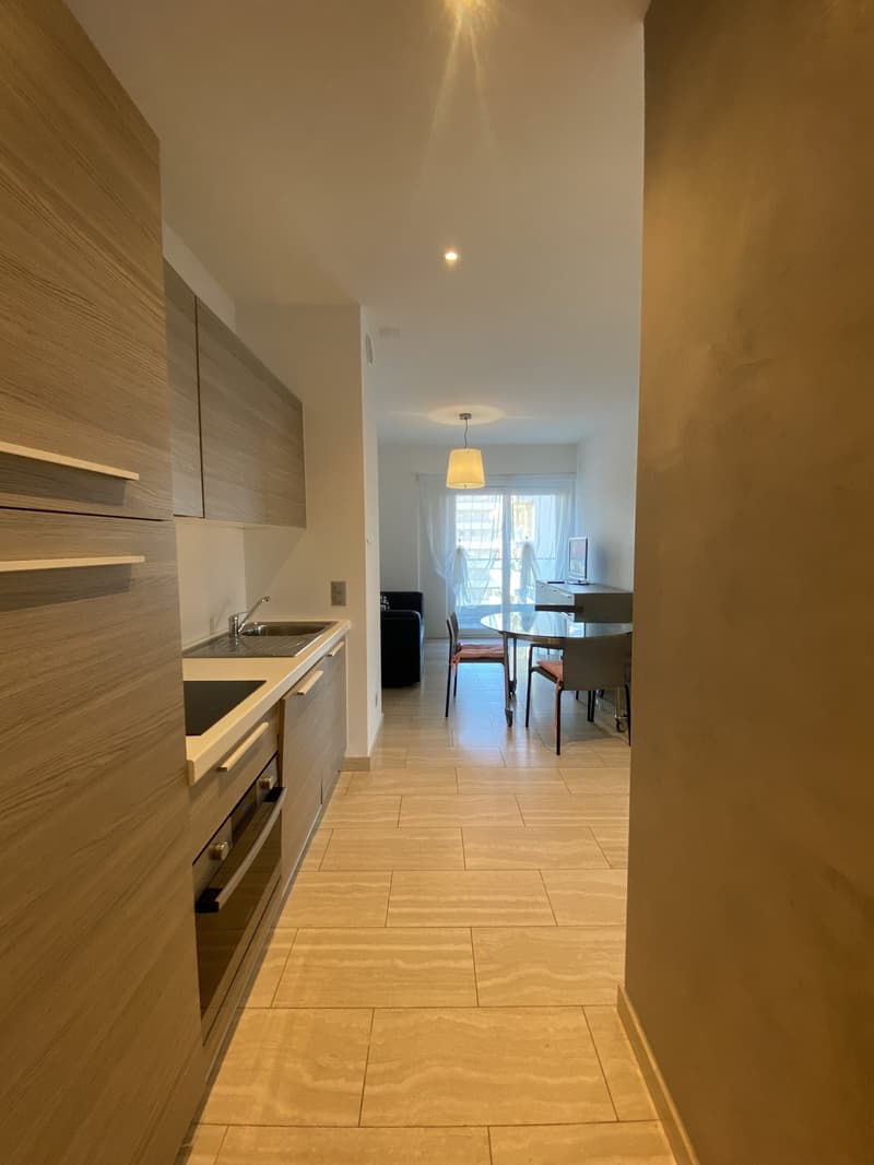 Appartamento arredato a Lugano - disponibilità 7 mesi (3)