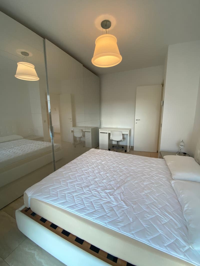 Appartamento arredato a Lugano - disponibilità 7 mesi (7)