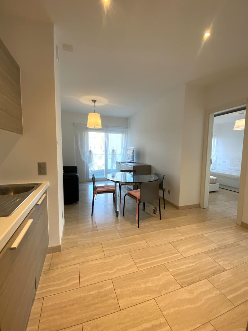Appartamento arredato a Lugano - disponibilità 7 mesi (2)