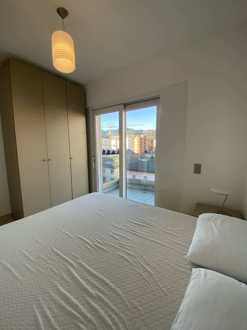 Appartamento arredato a Lugano - disponibilità 7 mesi (10)
