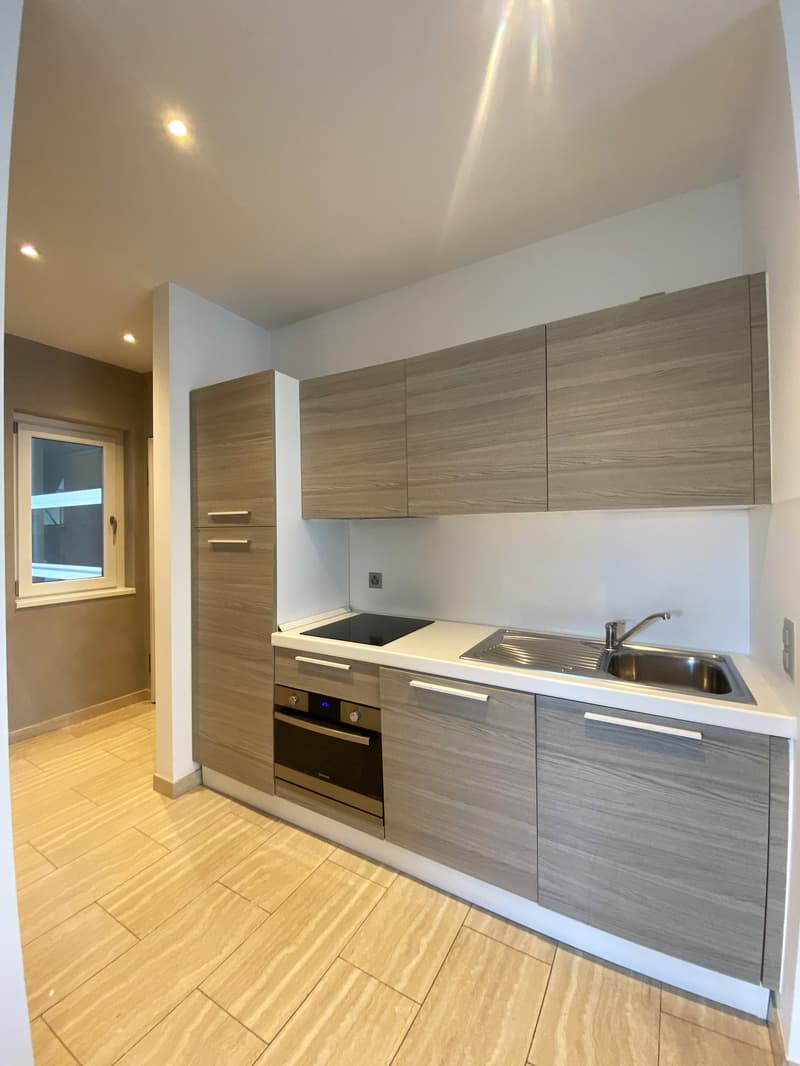 Appartamento arredato a Lugano - disponibilità 7 mesi (4)