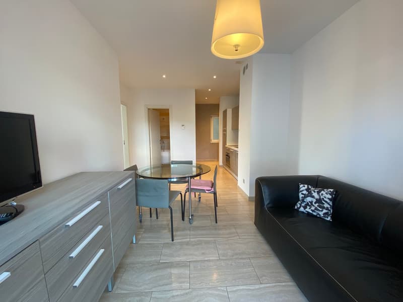 Appartamento arredato a Lugano - disponibilità 7 mesi (5)
