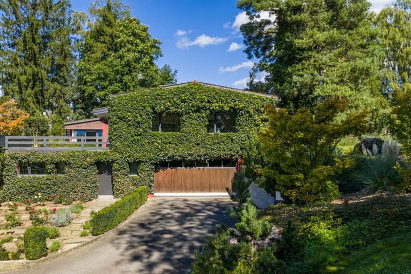 Villa für Freigeister und Lebenskünstler auf 10'000 m² zwischen Zürich und Zug (16)
