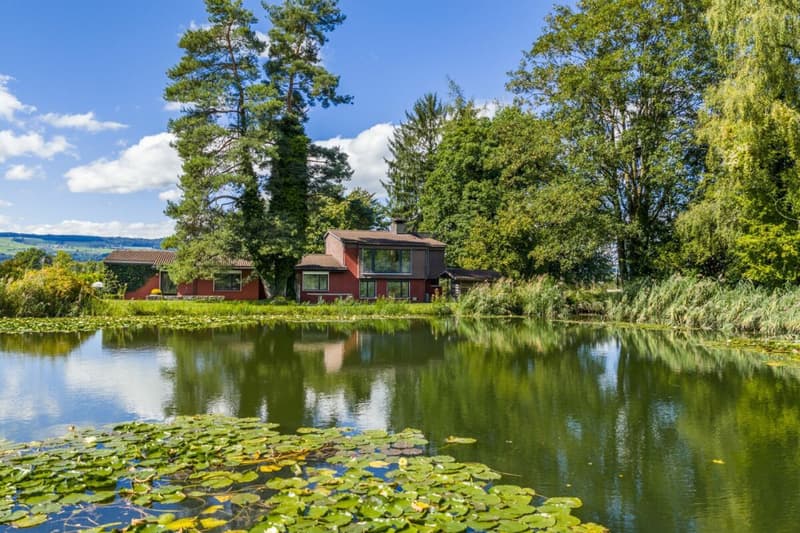 Villa für Freigeister und Lebenskünstler auf 10'000 m² zwischen Zürich und Zug (1)